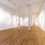 Individual Exhibition by Freddy Salvador 17