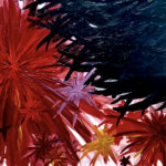 The-Dying-of-the-Light_acrylic-canvas_91x122cm_1050euro
