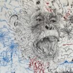 bonobo atomnica