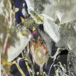 JUSTIN CHAN_MONAT GALLERY 1